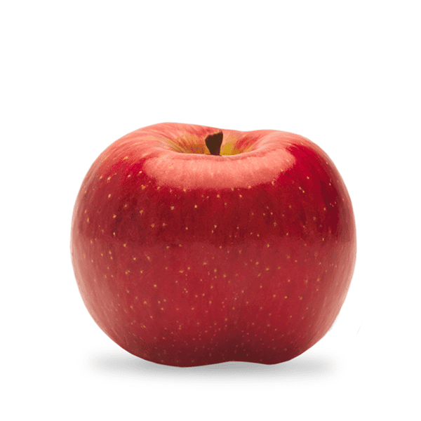 Evercrisp apple