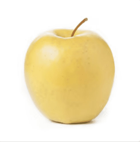 Gold Rush apple