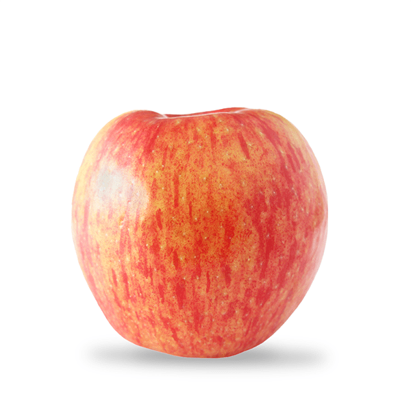 Summerset apple